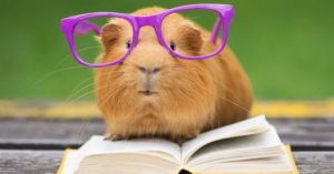 Marketing Books